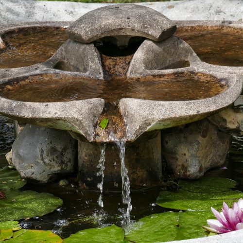 Fontaine trilobée en pierre de l'atelier des Vasques Vives dans un bassin aquatique avec nénuphars.