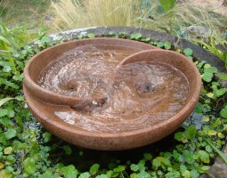 Une fontaine zen Yin Yang en pierre dans un bac avec plantes aquatiques.