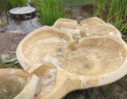 piscine- naturelle-broceliande-fontaine-aiga-terra